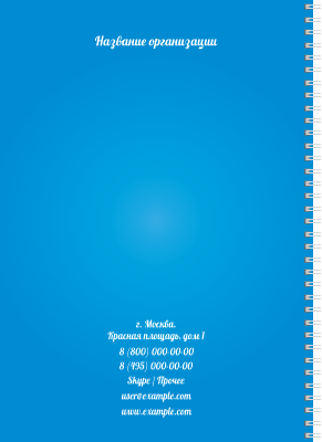 Блокноты-книжки A4 - Голубые полосы Задняя обложка